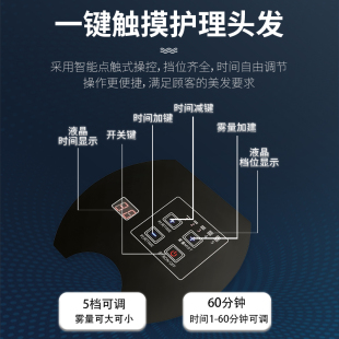 蓝光美发纳米护理喷雾机器头发营养机喷枪焗油机发廊护发养发 新版