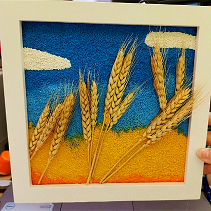 新品自然系列五谷丰登真小麦手工diy纸浆画材料包学生填充彩泥画