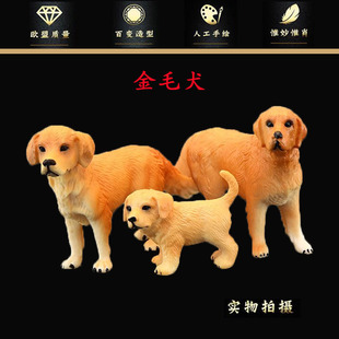 跨境仿真金毛寻回犬模型实心儿童仿真动物玩具模型猎犬宠物狗摆件