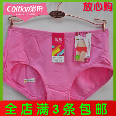 莫代尔女纯色柔软中腰彩田内裤