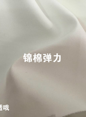 锦棉弹力休闲风布料
