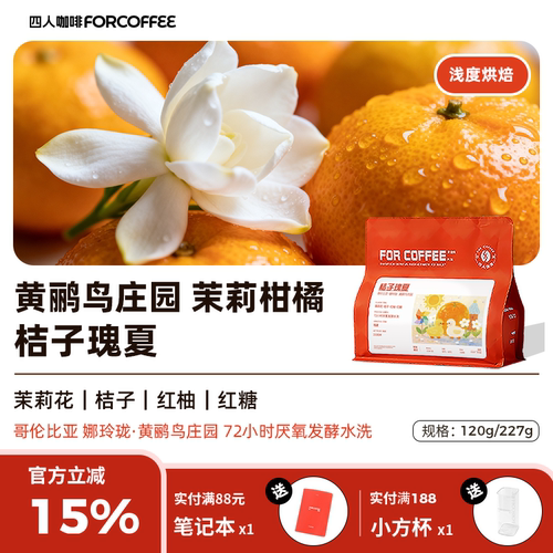 四人桔子瑰夏手冲咖啡豆227g