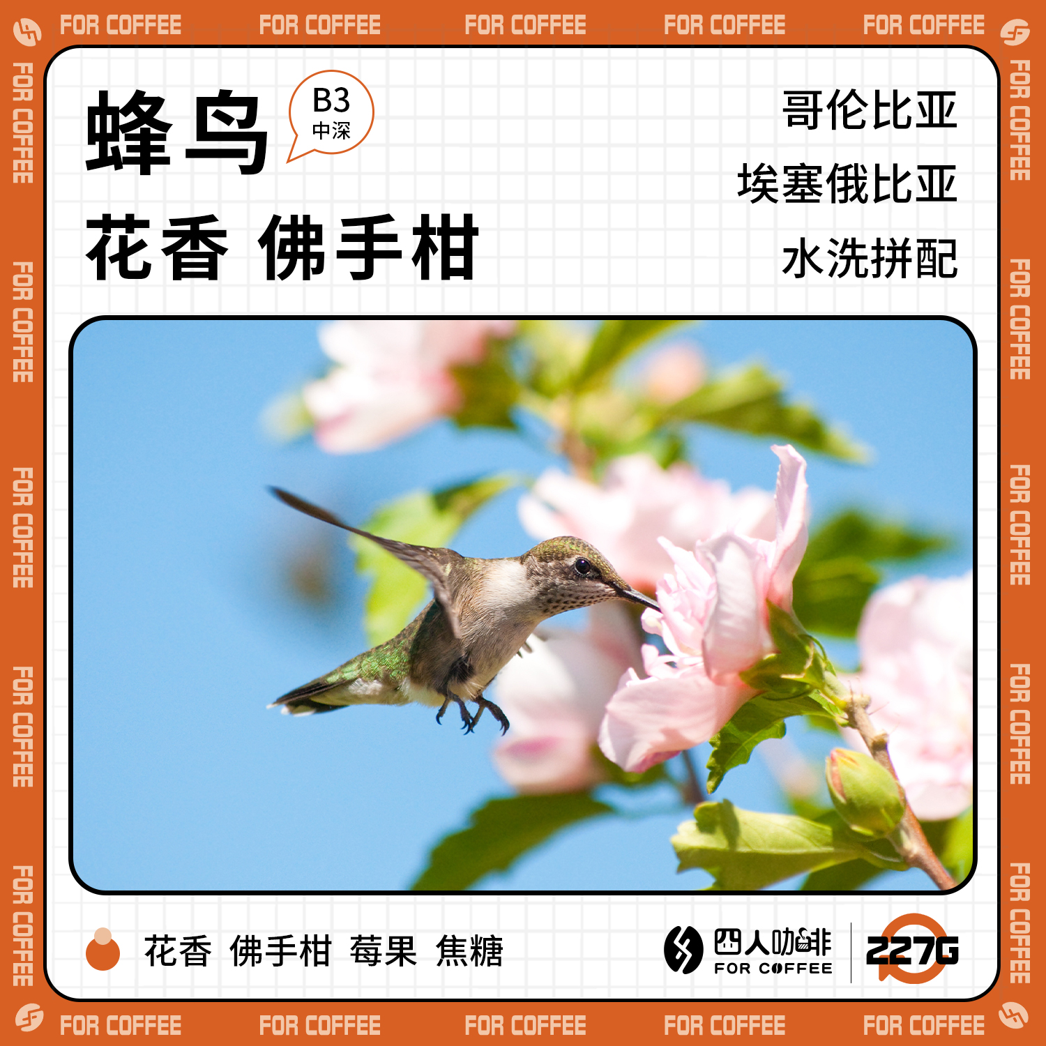 花香蜂鸟四人哥伦比亚埃塞俄比亚中深水洗拼配手冲咖啡豆227G包邮