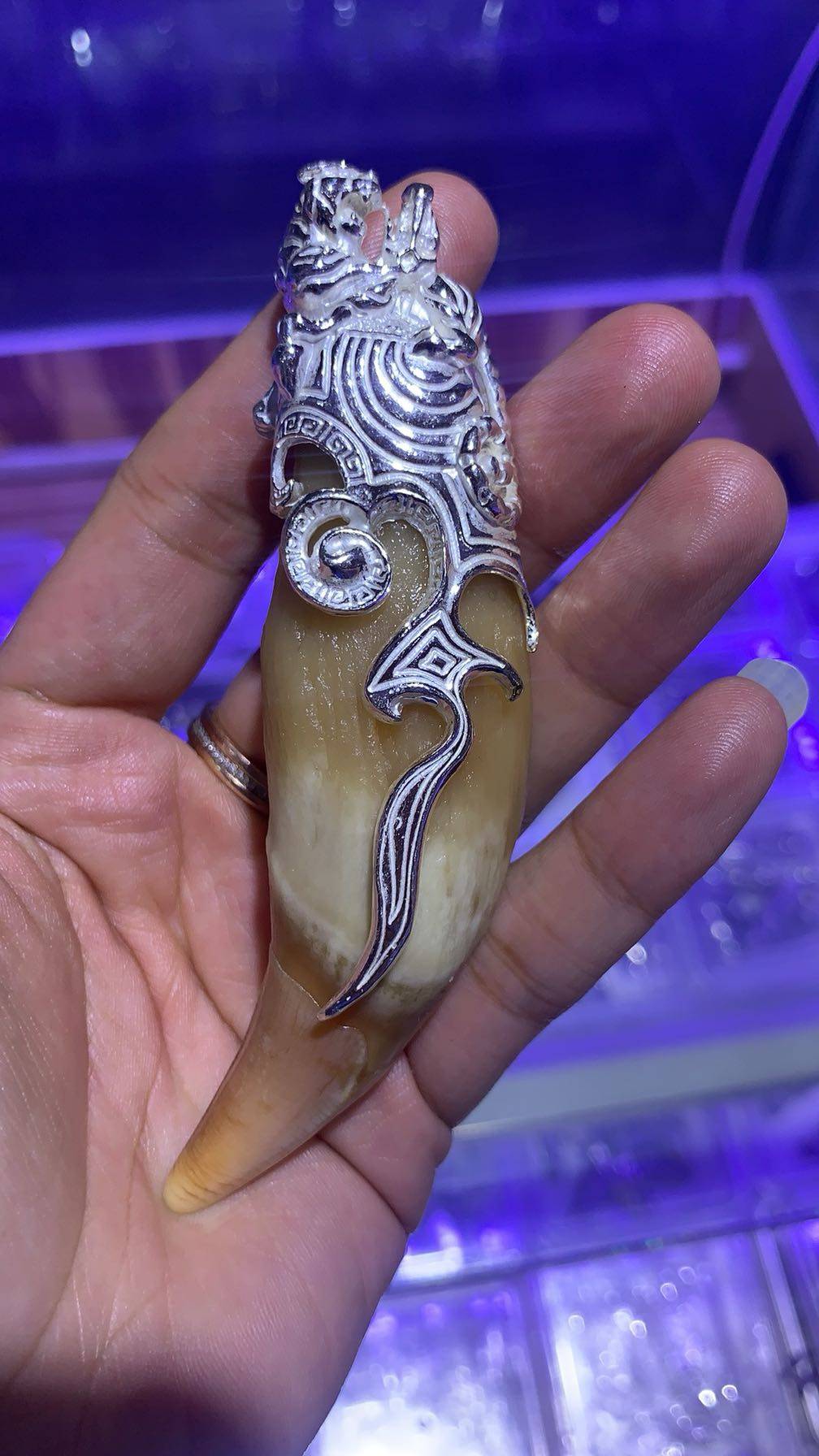 男女士925纯银套项链包大号牙齿狗牙银套吊坠虎牙防裂保护项坠