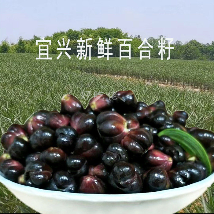 百合籽宜兴新鲜产地发货图片