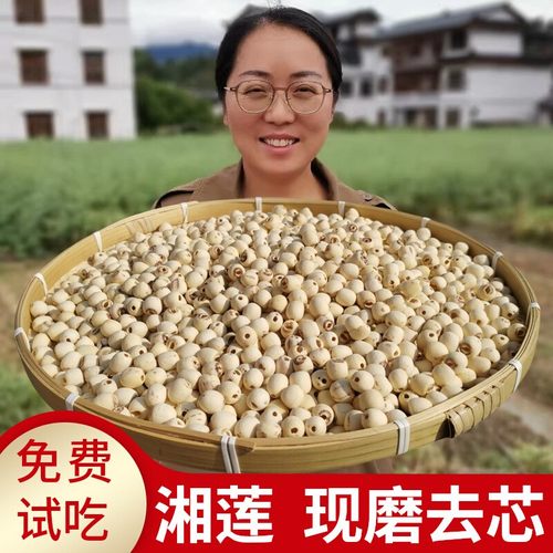 2025年新货正宗湖南湘潭莲子干货