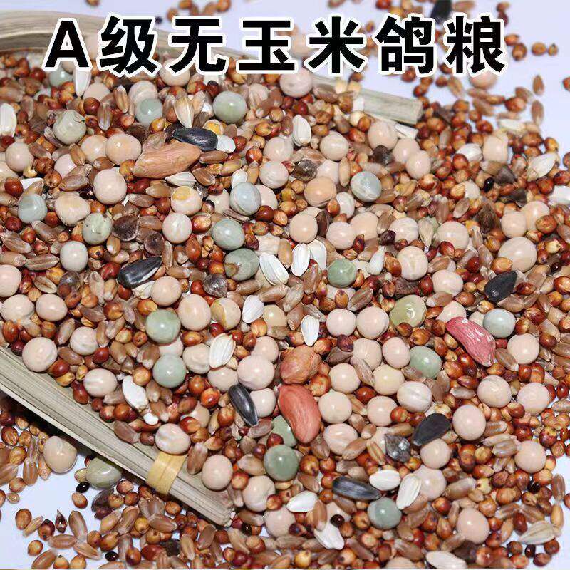 50斤A级有玉米鸽子粮食饲