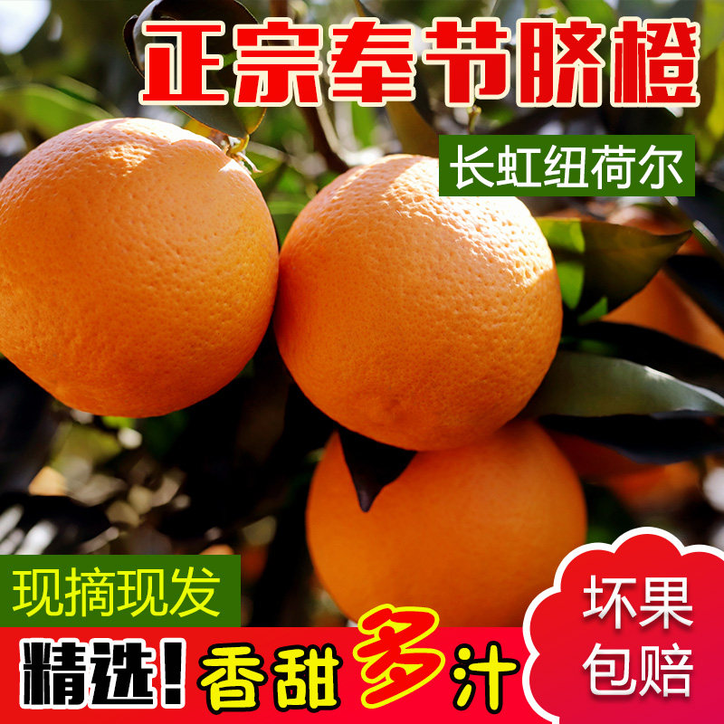 【发圆通】奉节脐橙现摘现发新鲜当季橙子孕妇儿童产地水果,水产肉类/新鲜蔬果/熟食,橙,淘宝优惠券,粉丝福利购,淘宝优惠卷