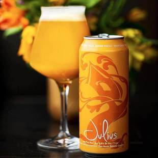 新鲜日期 树屋绿/朱利叶斯/浑浊/结巴朱/非常绿/非常浑浊啤酒