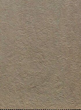 咖啡色无缝墙布奶咖奶茶店暖咖色米黄色奶黄色全屋奶咖高级灰壁布