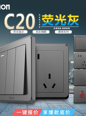 西蒙开关插座C20系列荧光灰五孔一开/二开/电视电脑/电话插座面板