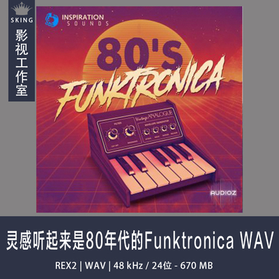 灵感听起来是80年代的Funktronica WAV ACID REX