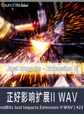 SoundBits正好影响扩展II WAV