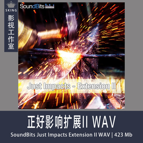 SoundBits正好影响扩展II WAV