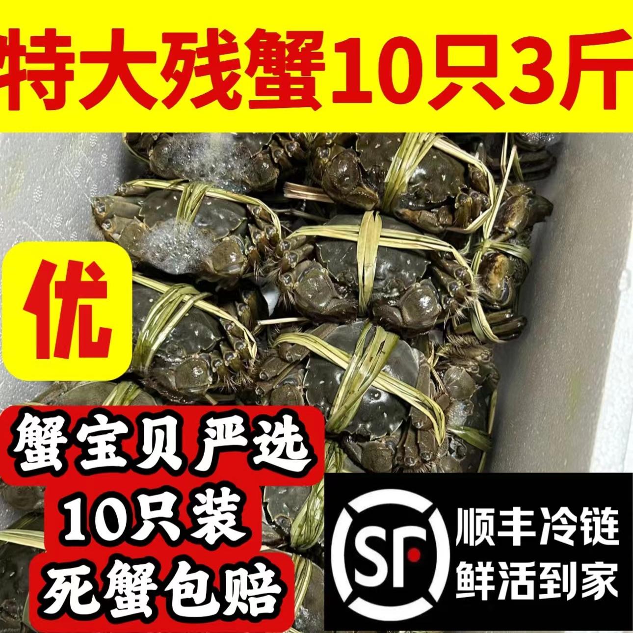 3斤大闸蟹鲜活螃蟹现货特大号残蟹断脚蟹残次蟹公蟹可全母蟹河蟹