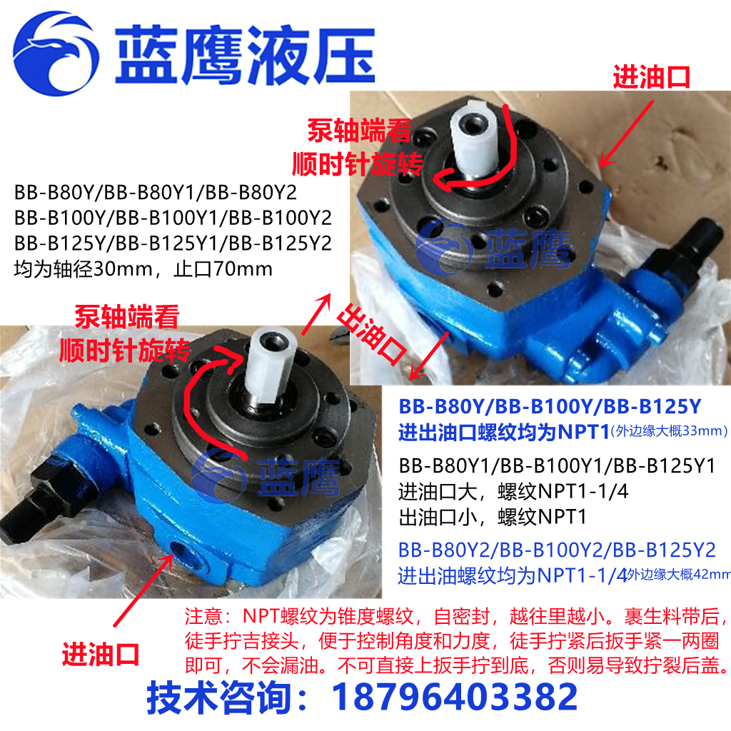 BB-B80Y/B100Y/B125Y摆线泵转子齿轮油泵BB-B63Y1安全阀BB-B125Y2