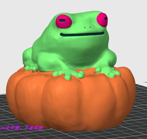 南瓜青蛙树蛙牛蛙动物宠物万圣节三维立体stl文件雕刻3D打印模型