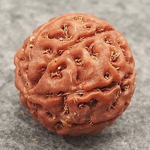 精挑尼泊尔大金刚菩提子原籽手串单颗爆肉沉水七八瓣散珠男士佛珠