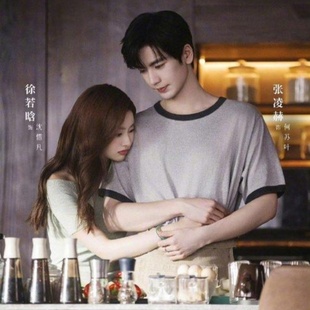 爱你何苏叶张凌赫同款纯棉短袖t恤男女通款休闲宽松麻灰色T恤穿搭