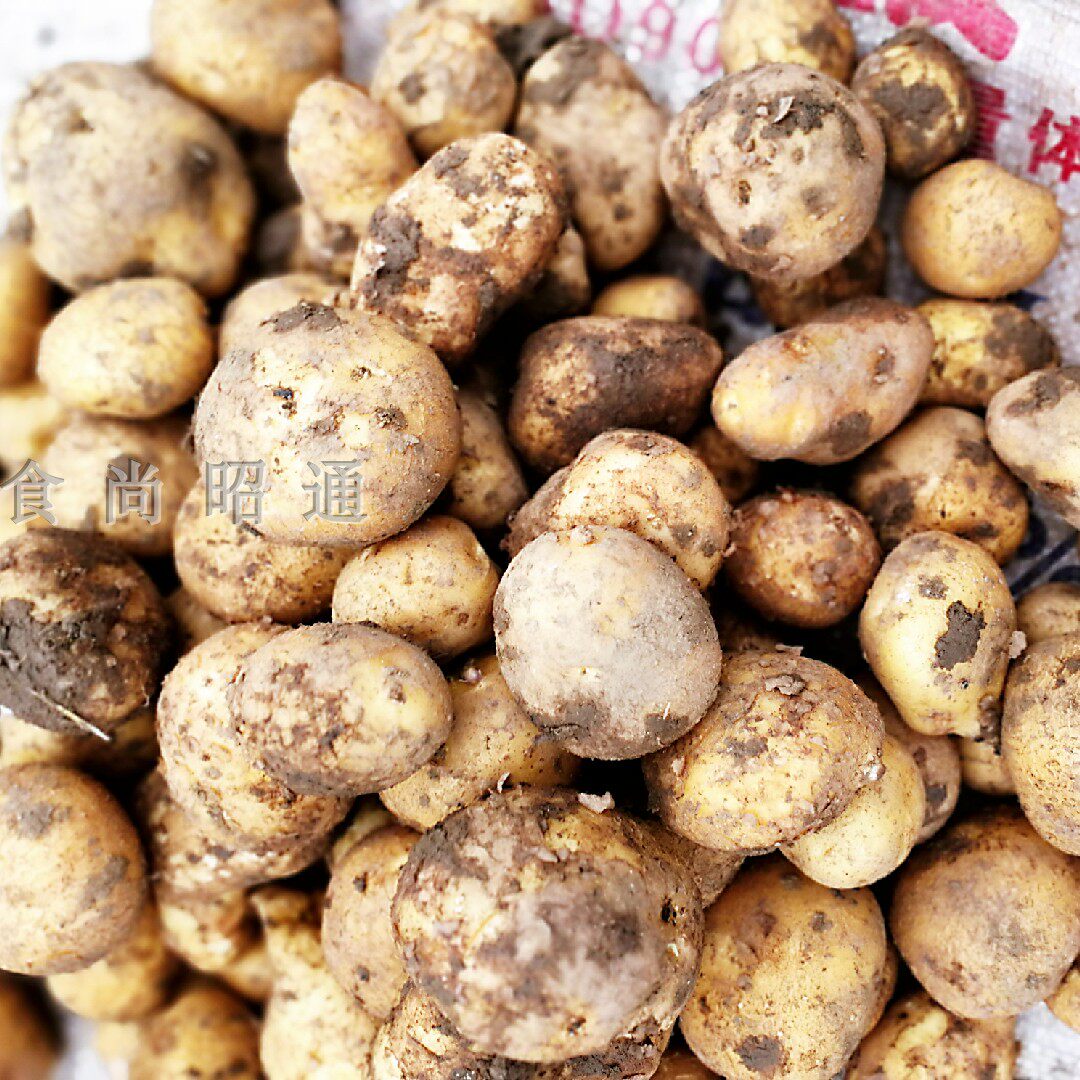 云南昭通特产农家自种老品种洋芋开花面老土豆马铃薯10斤包邮促销
