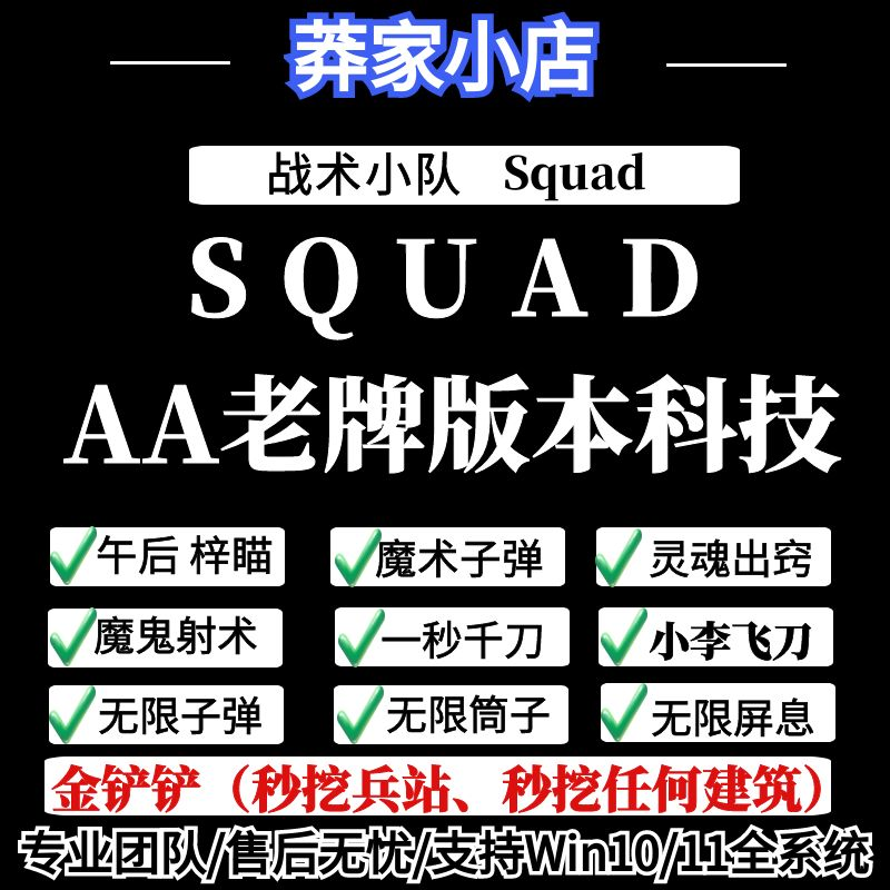 战术小队squad丝瓜科技辅助