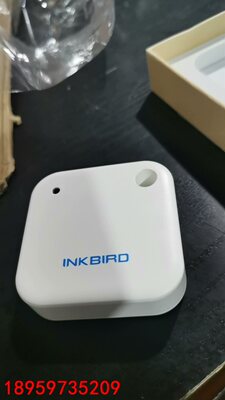 跨境INK BIRD 蓝牙温度传感器 （单温度版）IBS—T议价