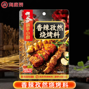海底捞香辣孜然烧烤调味料40g小包家用孜然粉烤肉蘸料专用撒料