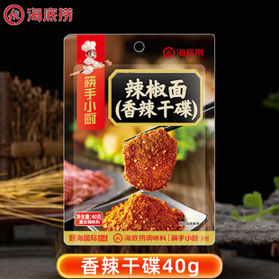烧烤孜然粉撒料家用炸串料 海底捞香辣干碟辣椒面40g烤肉蘸料韩式