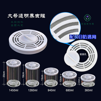 大号透气宠物蚊子饲养新品昆虫