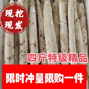 白芦笋新鲜蔬菜山东曹县特产农家现挖现发龙须菜 4斤3时令嫩笋 包邮