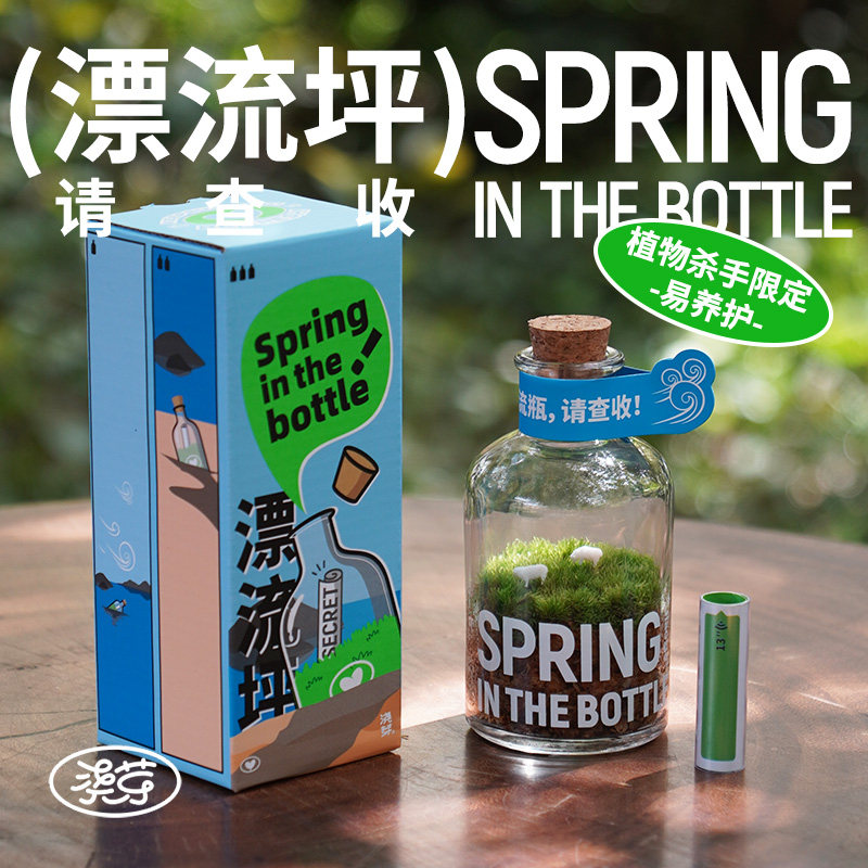 苔藓微景观办公趣味创意好养懒人