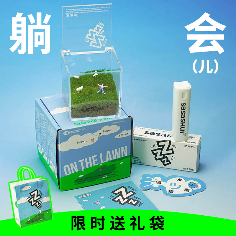 草坪上三两事/私人草坪微景观苔藓室内桌面好养盆栽创意圣诞礼物