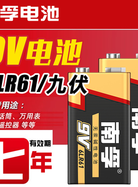 南孚碱性9V万用表麦克风无线话筒电池6LR61方块电池叠层九伏电池