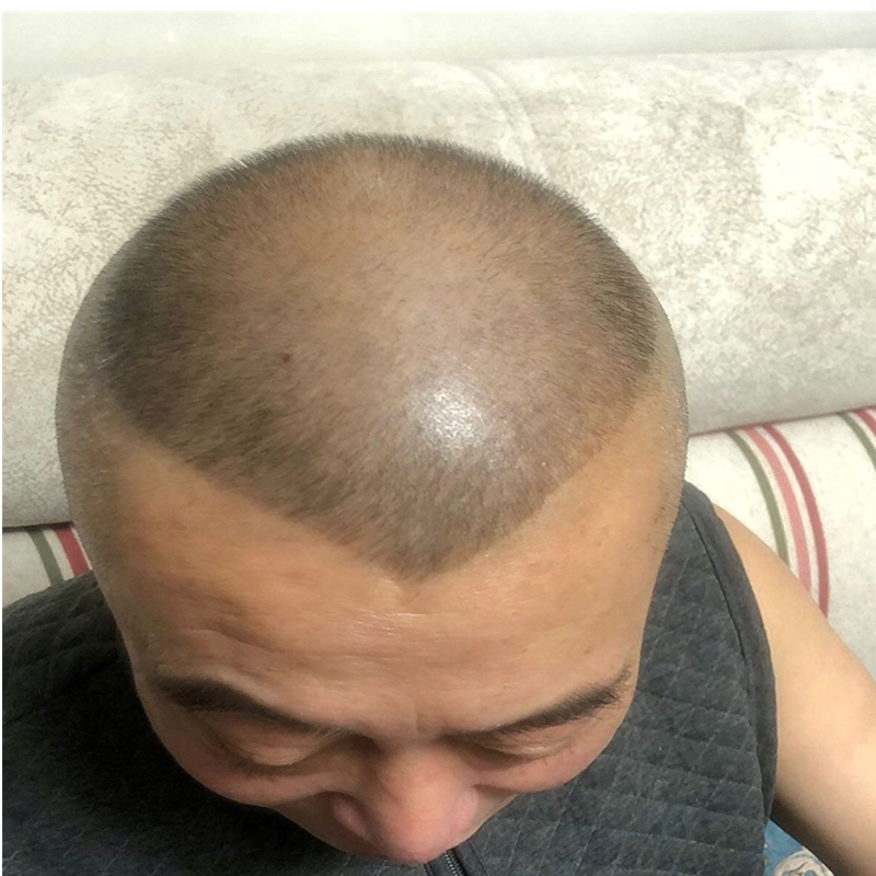 成人理发模型锅盖头椭圆形