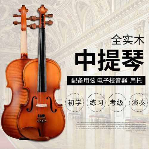 包邮全实木成人儿童初学者练习考级中提琴 16 15 14 13 12 11英寸 - 封面