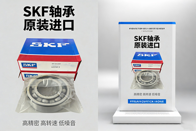 SKF进口轴承6314 6315 6316 6317 6318 6319 2RS1WT 2Z C3耐高温