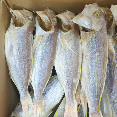 汕尾特产 本港海味干货红三鱼干钓鲤脯咸鱼干度七成干1斤4至5条