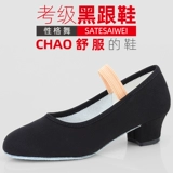 Танцевальные туфли для детей и женщин оценивать упражнения танце