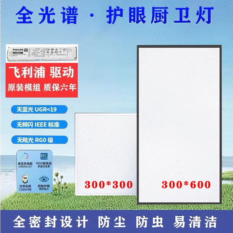 厨卫灯集成吊顶灯30x60led平板灯