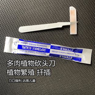 园丁丁植物克隆 多肉植物砍头 繁殖刀切枝分株修根分侧芽砍头扦插