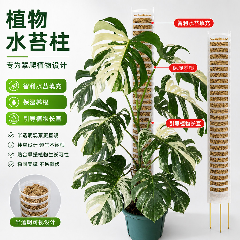 2026新款水苔柱龟背竹蔓绿绒攀爬可拼接墙热植藤植物攀附气生根柱 - 实物图