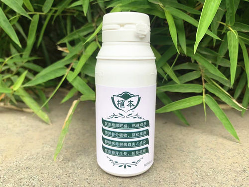 日本进口花卉提高成活率生根剂