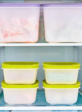 特百惠 雪影新冷冻450毫升冷冻保鲜盒密封储物盒可冷藏