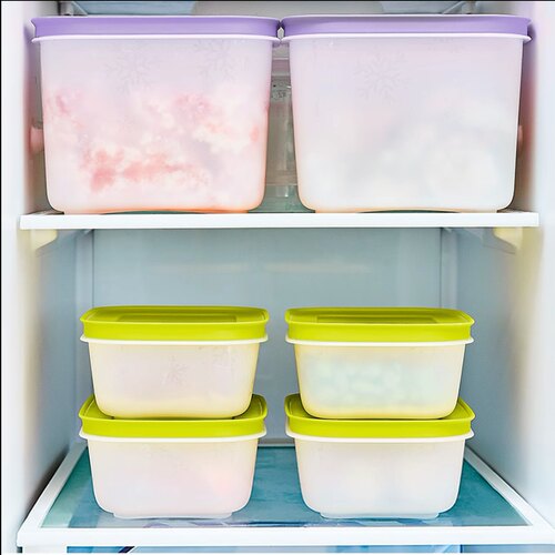 特百惠 雪影新冷冻450毫升冷冻保鲜盒密封储物盒可冷藏