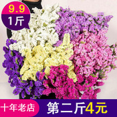 云南天然勿忘我干花花束客厅摆设满天星真花装 饰摆件小大束论斤卖