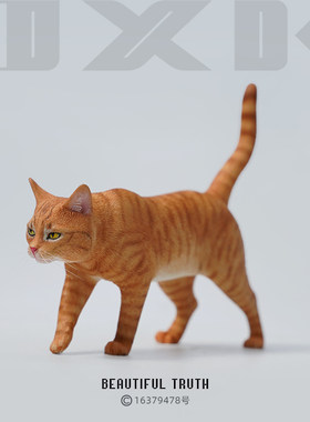 JXK家猫宠物猫周边手办高级礼品