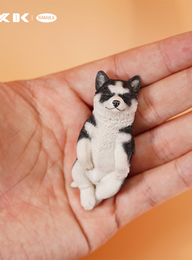 JXK small 金毛/哈士奇/拉布拉多幼崽模型萌宠可爱潮玩摆件配BJD