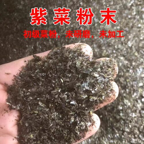 福建霞浦特碎紫菜粉末未加工未研磨海参鲍鱼等育苗养殖饭店商用