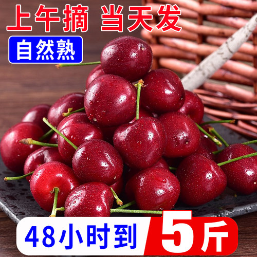 陕西铜川露天大樱桃5斤精选果新鲜当季孕妇水果车厘子整箱包邮