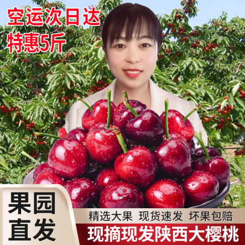 陕西大樱桃5斤新鲜国产车厘子